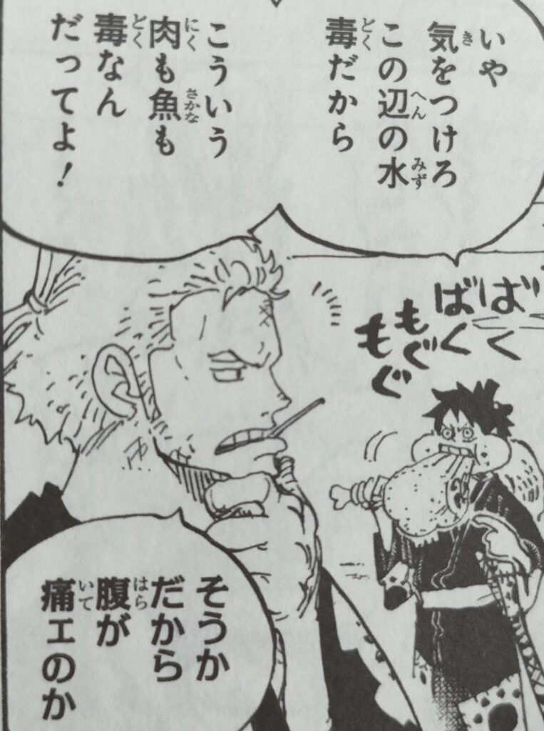 ワンピース 漫画 1話 One Piece Vol. 91/ワンピース 91巻 [洋書