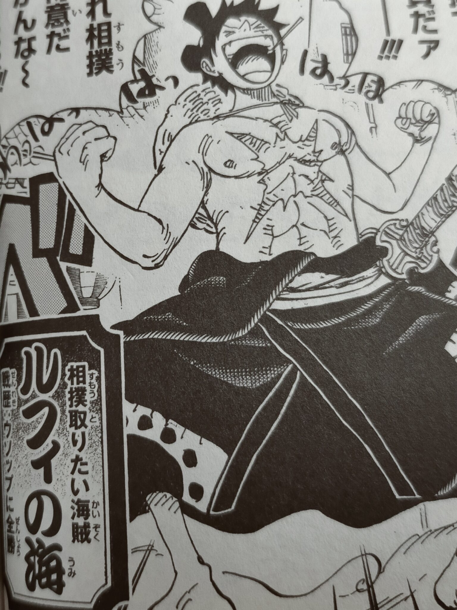 ワンピース 漫画 1話 One Piece Vol. 91/ワンピース 91巻 [洋書